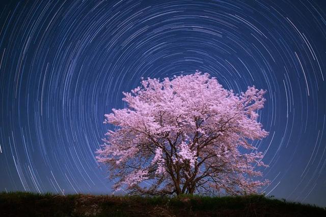 众星捧月游戏截图