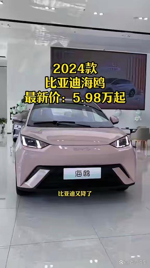 比亚迪海鸥5.98万游戏截图
