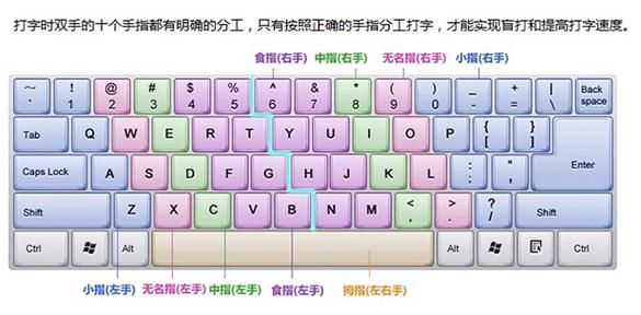 金山打字通2016图标