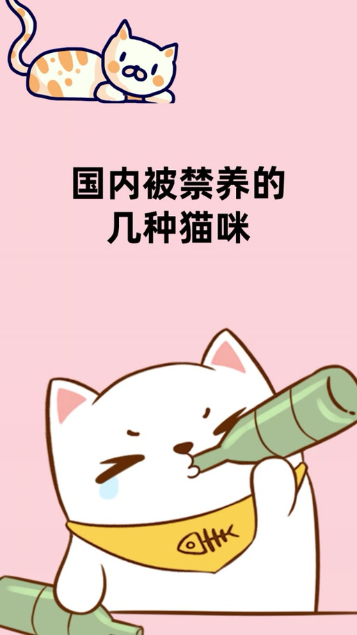 母猫地上打滚要警惕四种病缩略图