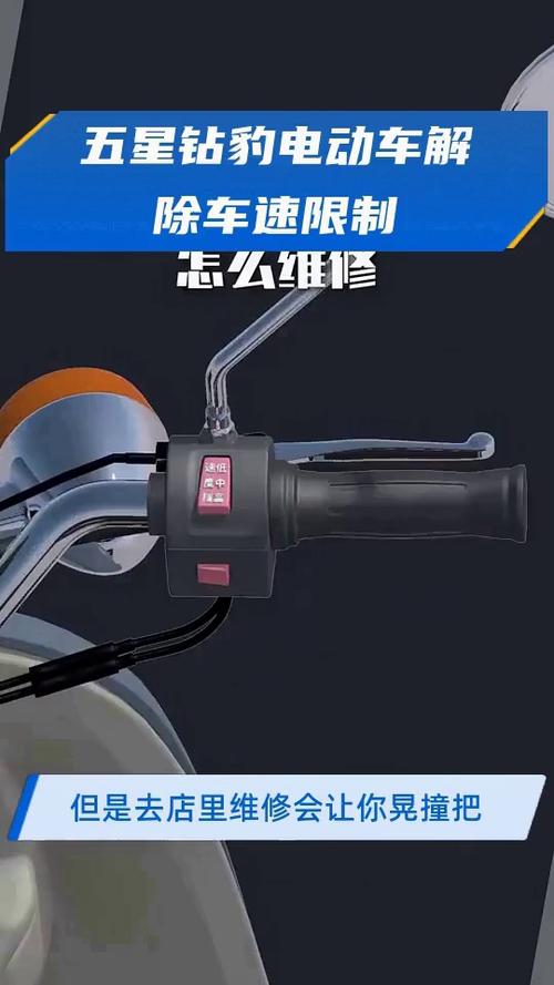 五星钻豹解限速游戏截图