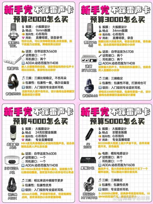 麦克风被占用什么意思