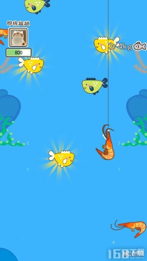 喵喵水族箱红包可信吗缩略图