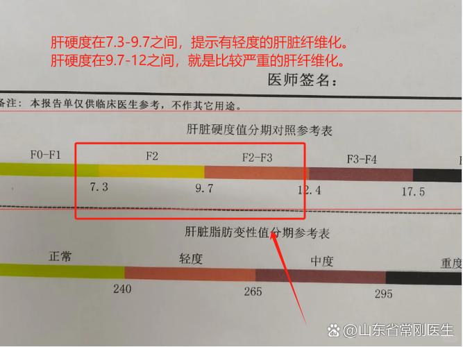 肝纤维指数高说明什么