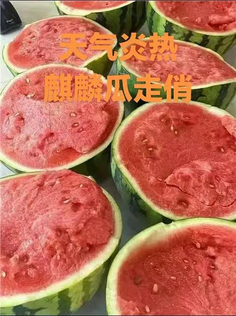 麒麟瓜一株留几个瓜