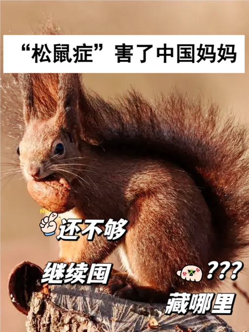 松鼠症仓库页1缩略图