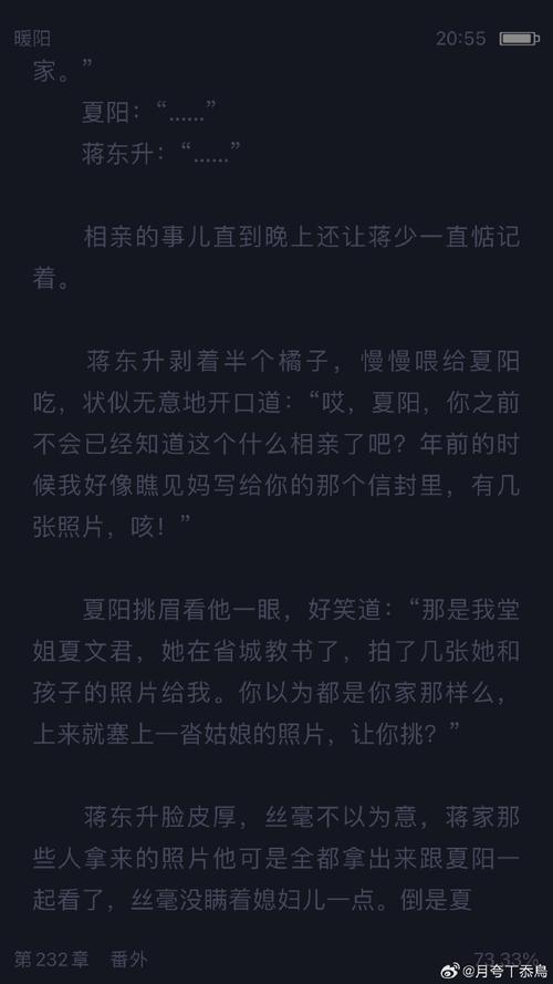 暖阳漫依云小说图标