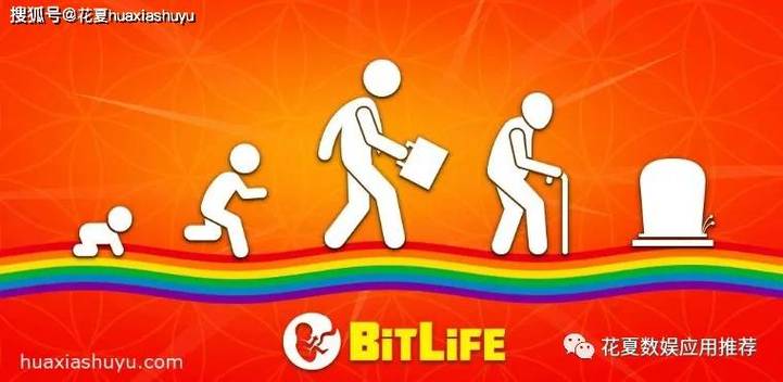 和bitlife差不多的游戏缩略图