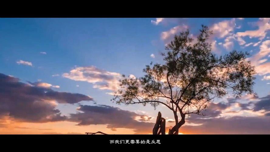 小拘爱旅行红包缩略图