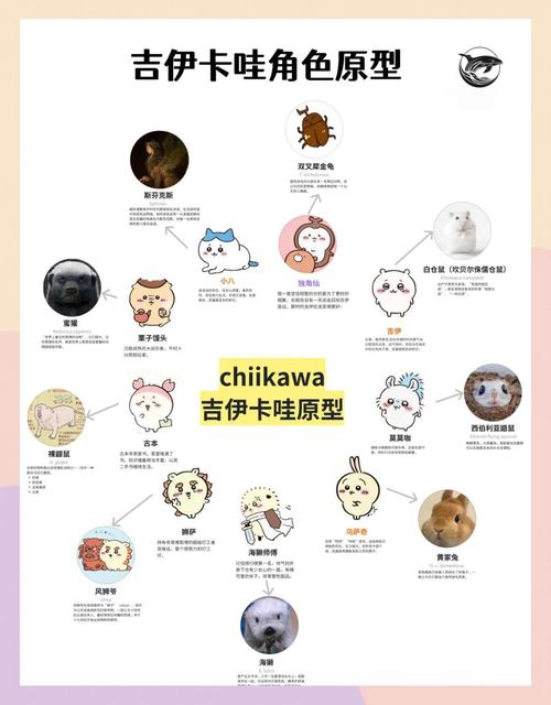 乌贼三部曲先后顺序缩略图