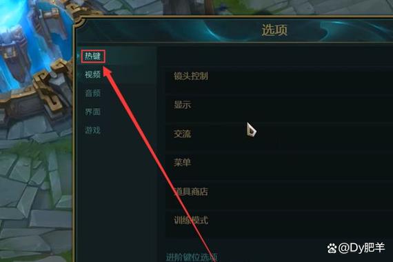 英雄联盟帧率显示在哪游戏截图
