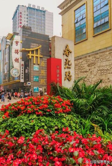 锦江区春熙券养老积分图标