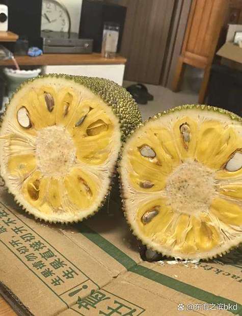 菠萝蜜可以多吃吗游戏截图