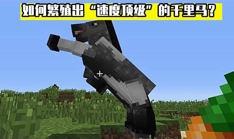我的世界马繁殖缩略图