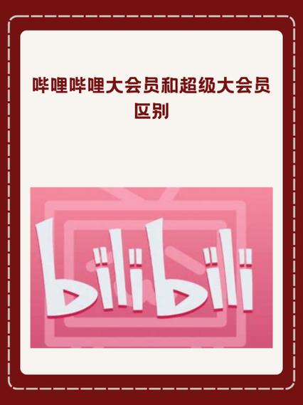 哔哩哔哩vip解析缩略图