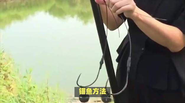 锚鱼正确姿势视频缩略图