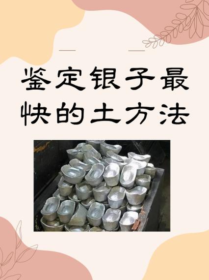 如何辨别白银真假游戏截图