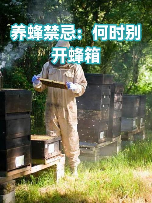 蜂箱放在家里10大忌