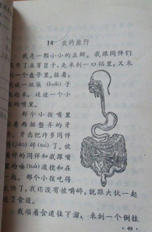 六下语文最变态的一课