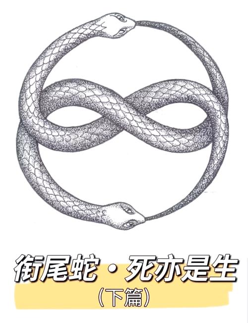 while循环语句