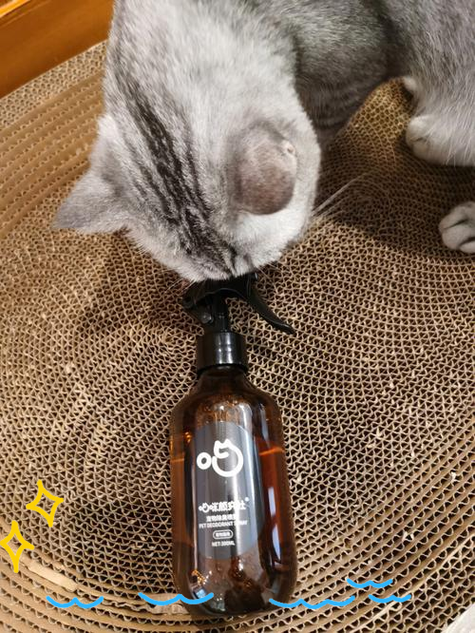 家里养猫有异味怎么去除图标