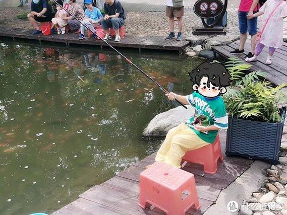 钓到金鱼是好兆头吗