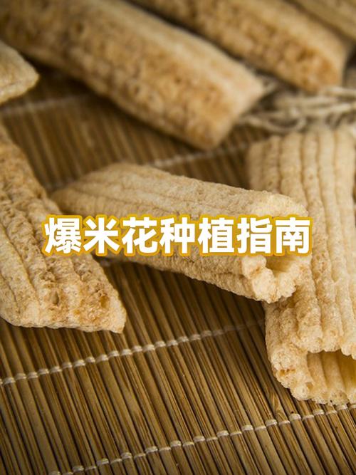 爆米花生意好不好做