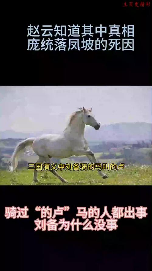 刘备的坐骑叫什么名字游戏截图