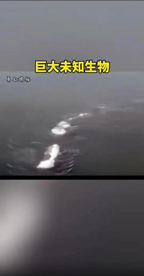 巨型未知生物缩略图