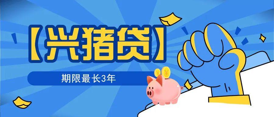 猪小贷靠谱吗缩略图