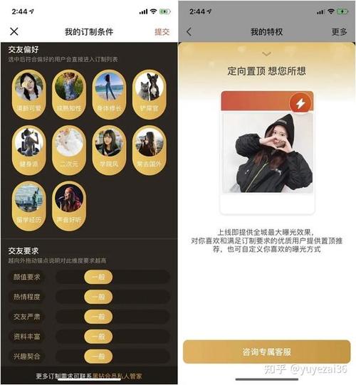 探探破解SVIP图标
