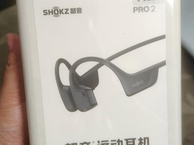 韶音耳机连不上游戏截图