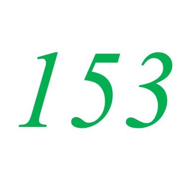 153一般代表什么游戏截图