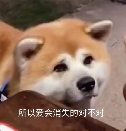 爱是不会消失的汉化版安卓缩略图