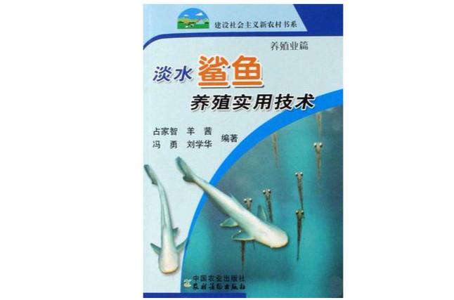 鲨鱼能养吗缩略图