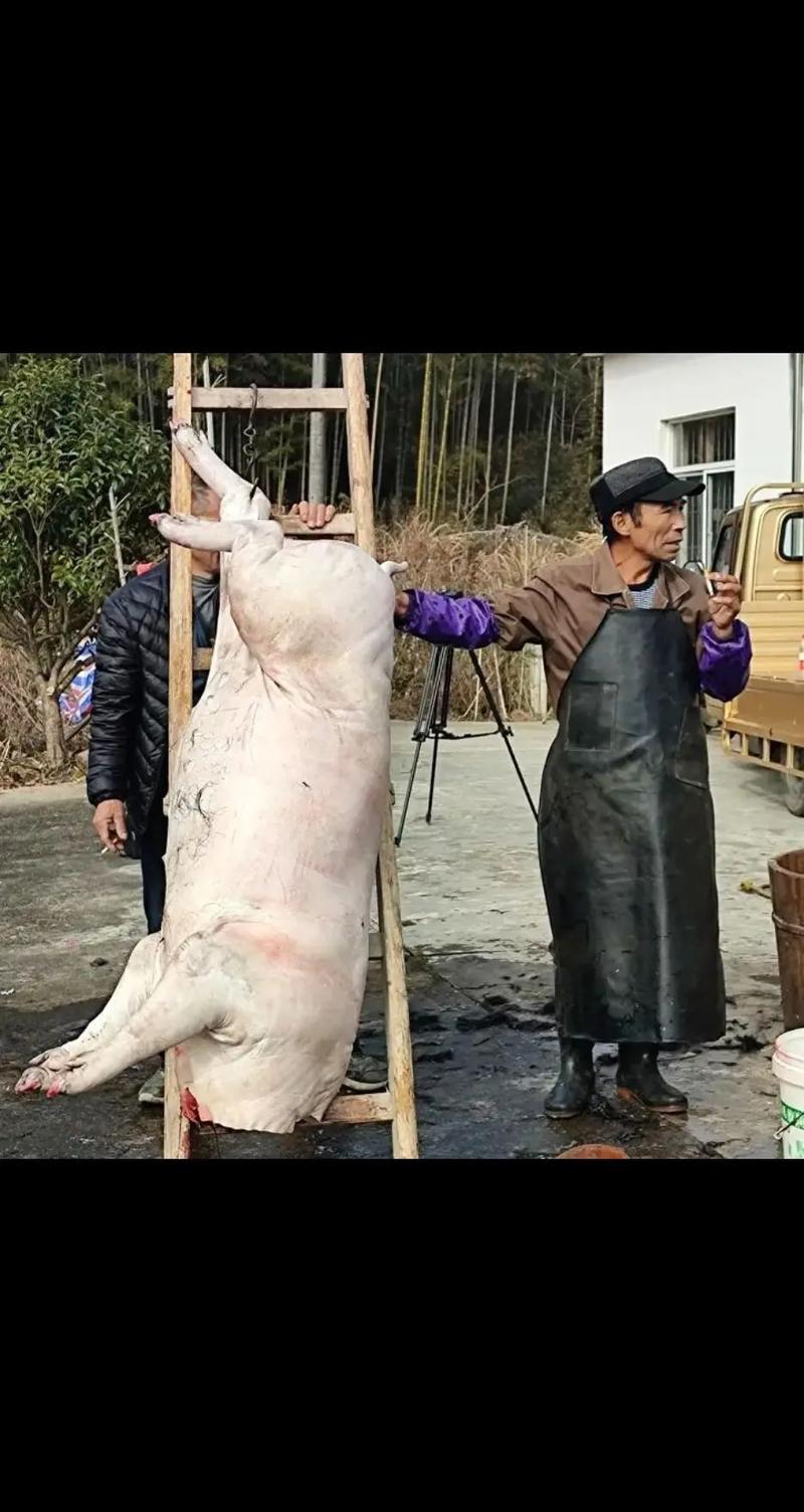 屠夫直充有什么好处缩略图