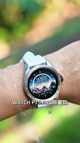 watch5脱离手机可以干什么游戏截图