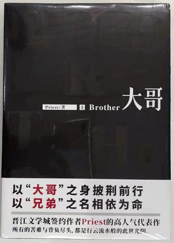 大哥小说免费阅读无删减缩略图