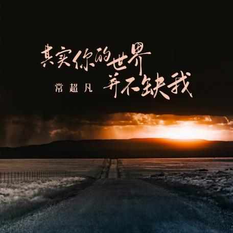 你的世界里根本不缺我缩略图