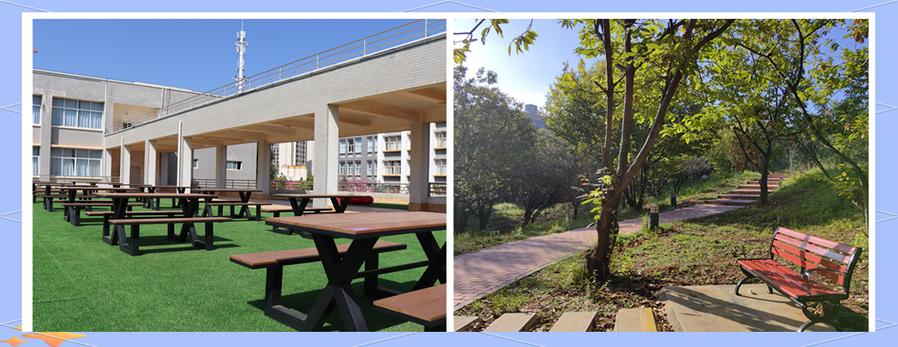大学生学校环境分析