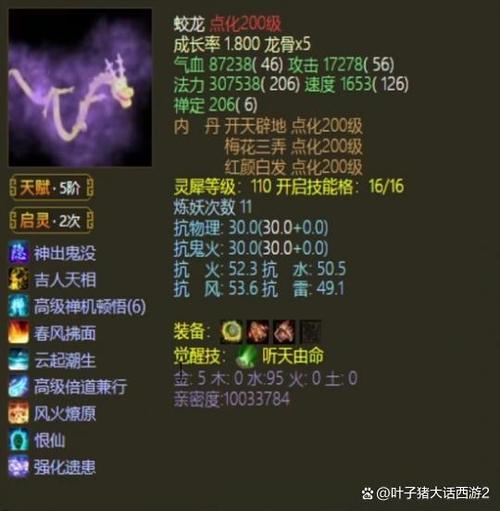 大话西游男龙女龙