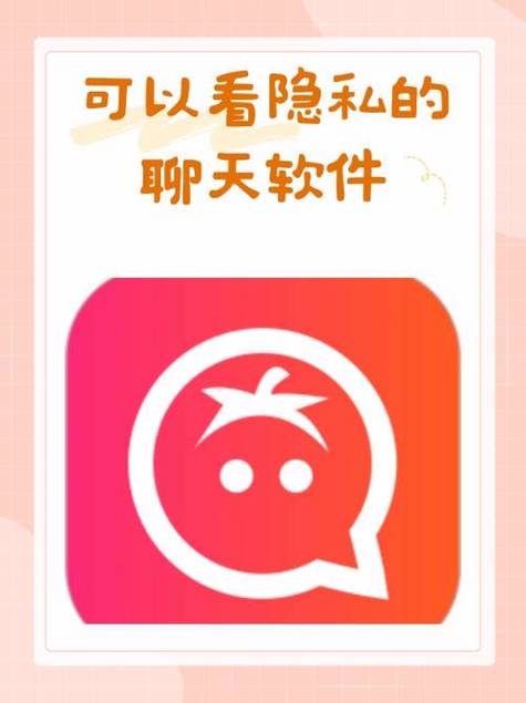 隐私的聊天软件图标
