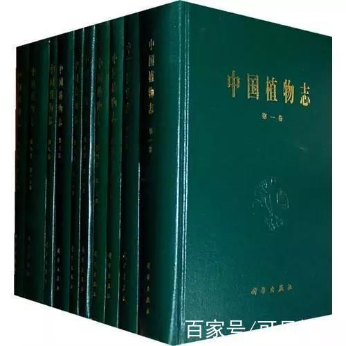 银杏阅读短文及答案游戏截图
