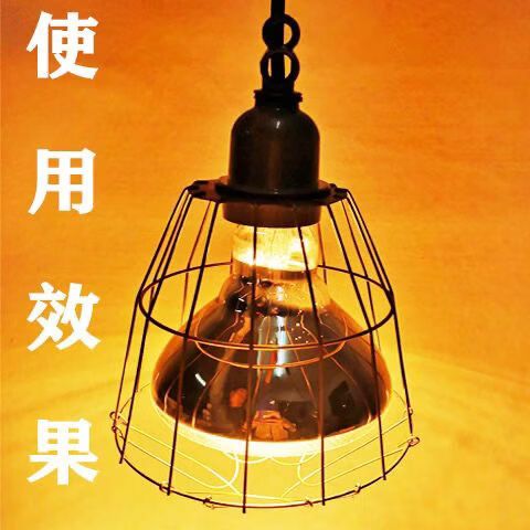 250w保温灯的温度有多高图标