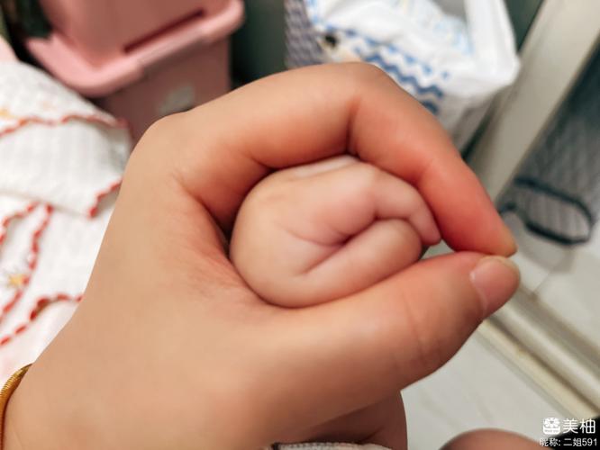 为啥美柚比妈妈树孕育不一样缩略图