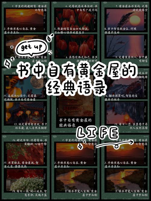 金屋by笔趣阁免费阅读小说游戏截图