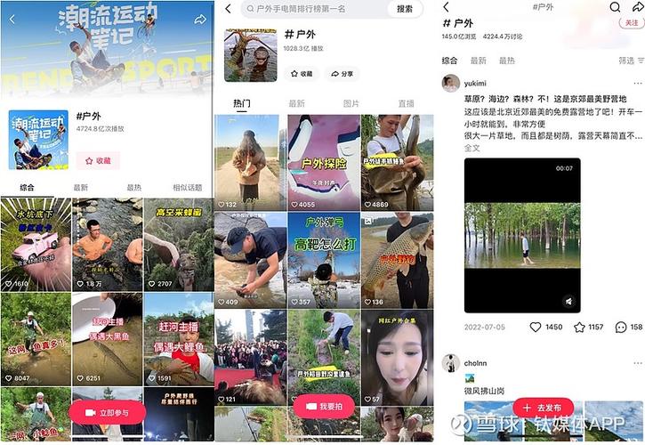 如何查看音乐口味