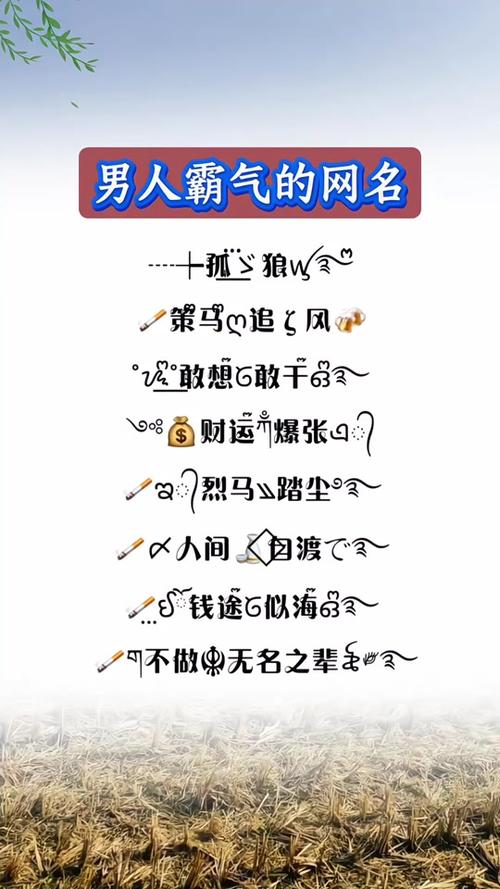 2026最旺快手名字缩略图