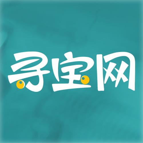 寻宝网图标