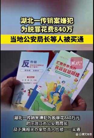 蜂智慧是传销组织吗缩略图